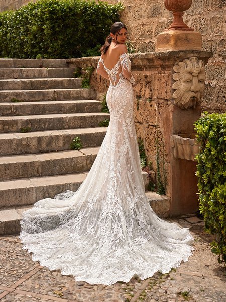 Dramatic illusion pointed train wedding dress with long sleeves and sexy low back Dramatic illusion pointed train wedding dress with long sleeves and sexy low back
